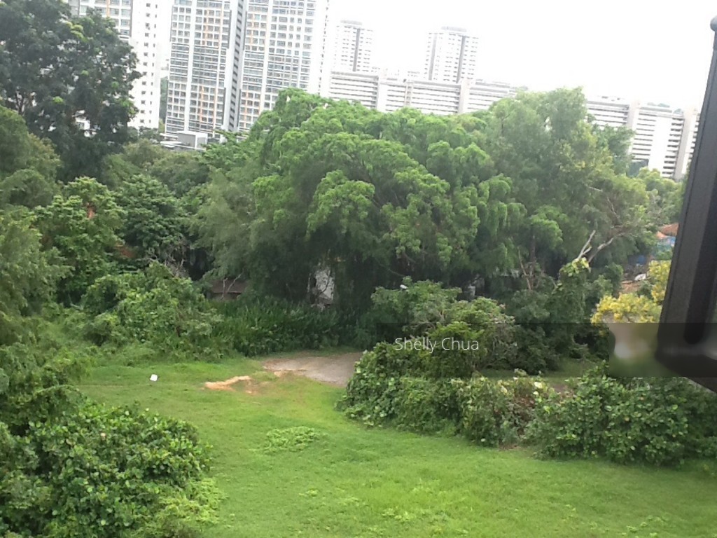 Blk 14 Dover Close East (Queenstown), HDB 5 Rooms #129449022